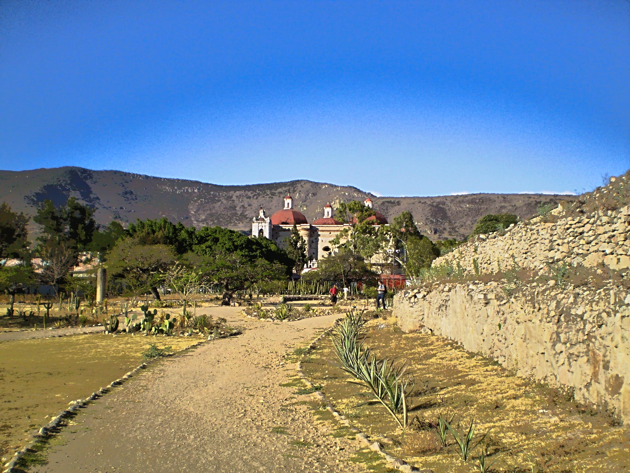 Mezcal Tour in Oaxaca (Gastbeitrag)